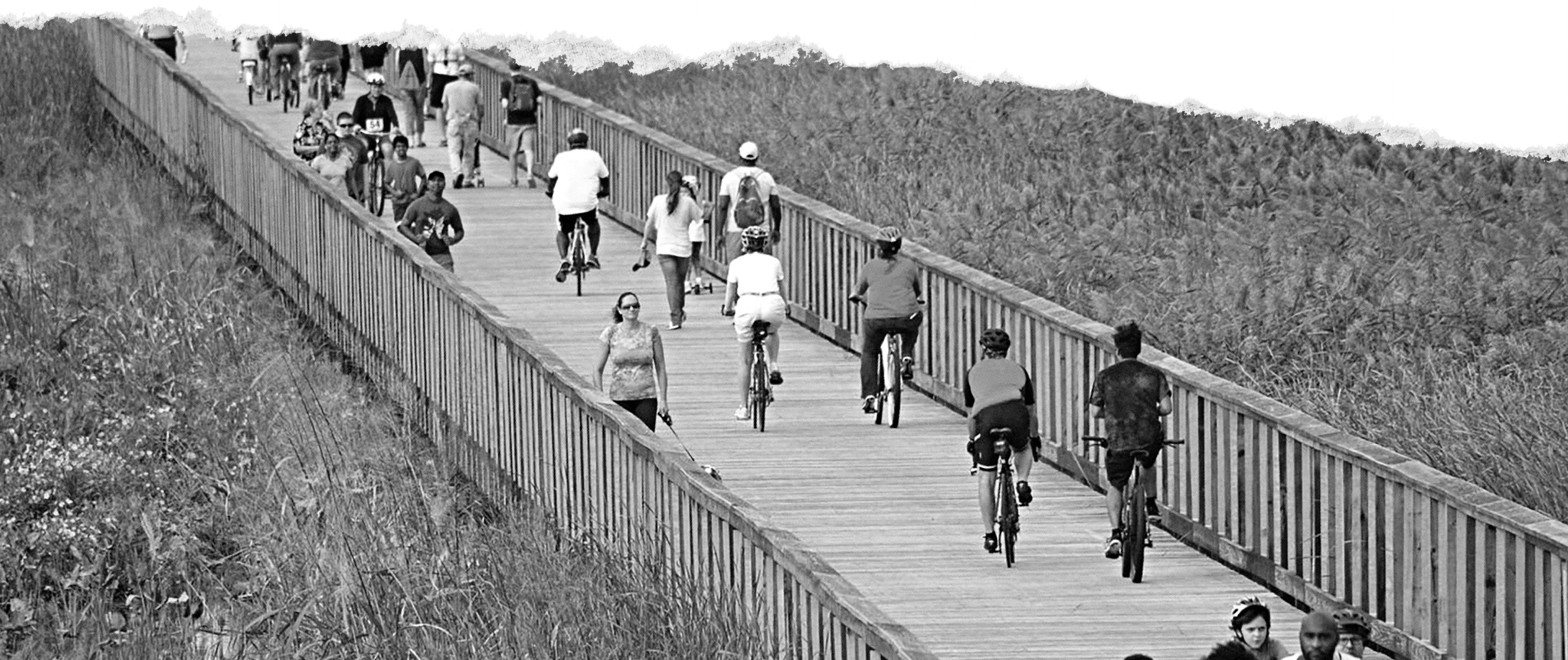 PLACEHOLDER homepage divider