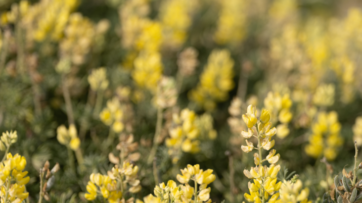 Rei sidebarplaceholder