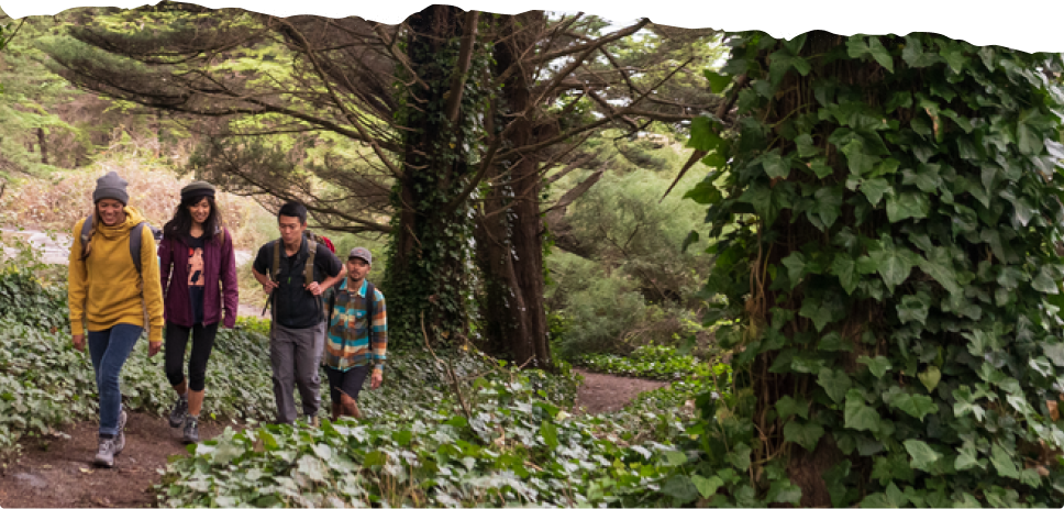 Four friends with day packs hike on a path through a vine-covered forest under an overcast sky.”