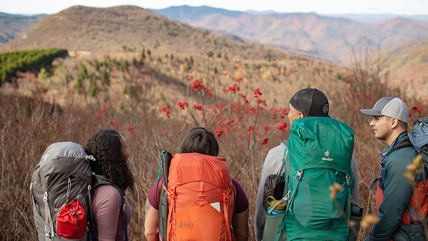 A group of four people carrying multi-day backpacking gear look out over a mountain range through a stand of bright red blooms. 