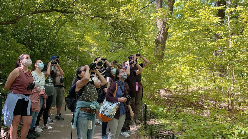 Peering through binocular, a group of trail hikers look for treetop wildlife.