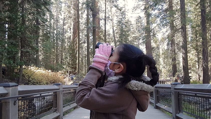 Wearing warm gloves and a jacket, a young explore pauses on a woodland bridge to look for birds through binoculars.
