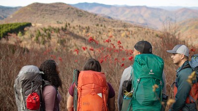 A group of four people carrying multi-day backpacking gear look out over a mountain range through a stand of bright red blooms.