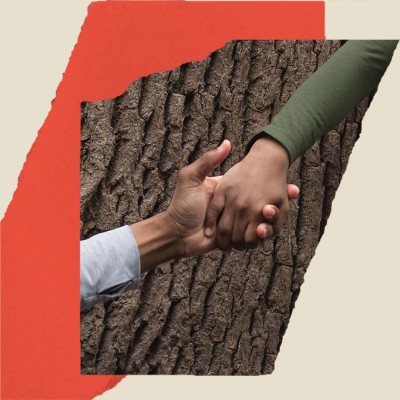 One hand grasps another's against the richly textured bark of a pine tree.